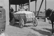 At the cotton gin, Cotton gin and wagons, Hale County, Alabama, 1936. Creator: Walker Evans