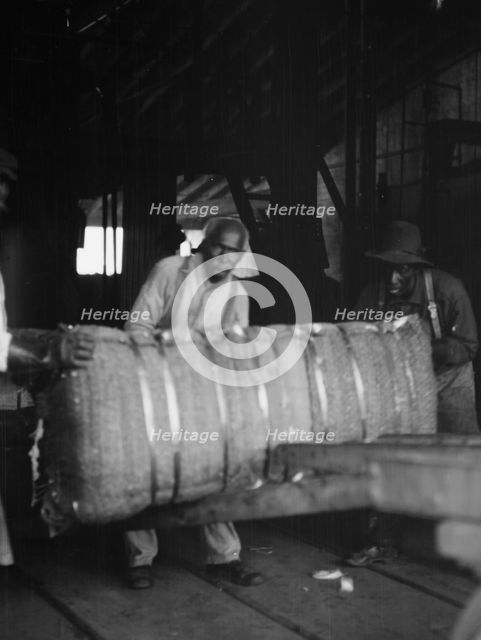 At the cotton press, New Orleans, between 1920 and 1926. Creator: Arnold Genthe.