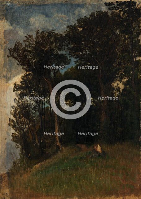 At the edge of a forest, 1890-1910. Creator: Friedrich Carl von Scheidlin.