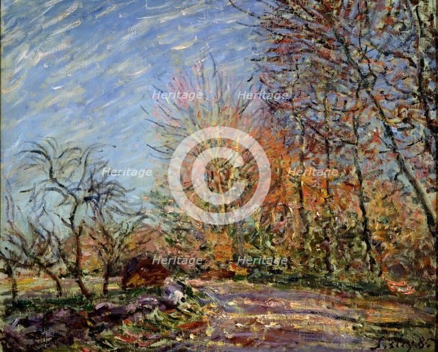 'At the edge of the forest in Fontainebleau', 1885.  Creator: Alfred Sisley.