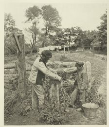 At the Grindstone-A Suffolk Farmyard, c. 1883/87, printed 1888. Creator: Peter Henry Emerson