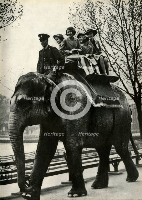 'At the London Zoo - enjoying a ride on an elephant', 1939, (1947).  Creator: Unknown.