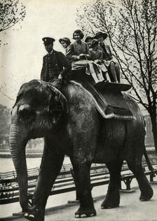 At the London Zoo - enjoying a ride on an elephant 1939, (1947). Creator: Unknown