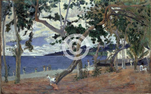 At the seashore, Martinique.