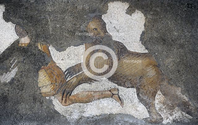 Attack of a brown bear, detail from mosaic...Great Palace of Constantinople, 4th-6th century. Creator: LTL.