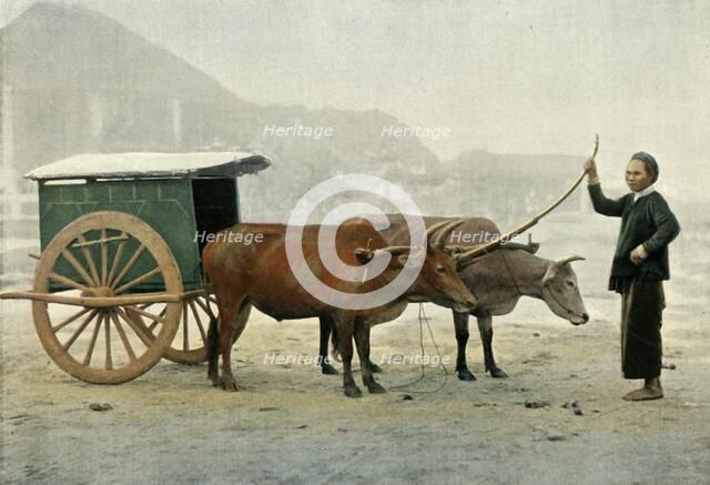 'Attelage Annamite', (Annamite Yoke), 1900. Creator: Unknown.