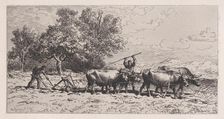 Attelage de Boeufs, 1868. Creator: Charles Emile Jacque