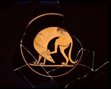 Attic red-figure cup of dog scratching his ear with a hindleg, inside tondo, 5th century BC. Artist: Euergides Painter