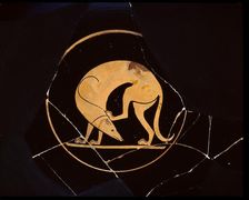 Attic red-figure cup of dog scratching his ear with a hindleg, inside tondo, 5th century BC. Artist: Euergides Painter