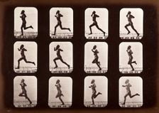 Athlete, running, 1881. Creator: Eadweard J Muybridge