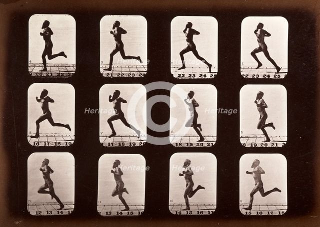 Athlete, running, 1881. Creator: Eadweard J Muybridge.