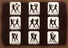 Athletes. Boxing., 1881. Creator: Eadweard J Muybridge