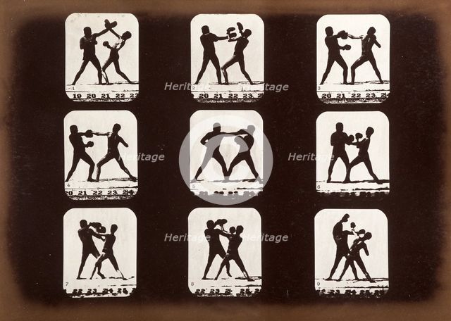 Athletes. Boxing., 1881. Creator: Eadweard J Muybridge.