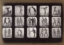 Athletes, posturing, 1881. Creator: Eadweard J Muybridge