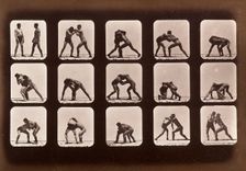 Athletes. Wrestling, 1881. Creator: Eadweard J Muybridge