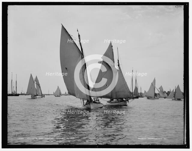 Atlanta and Vanitas, 1888 Aug 18. Creator: Unknown.