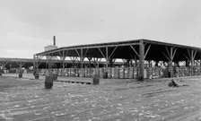 Atlantic Cotton Compress Company, Pensacola, Fla., between 1900 and 1906. Creator: Unknown