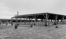 Atlantic Cotton Compress Company, Pensacola, Fla., between 1900 and 1906. Creator: Unknown
