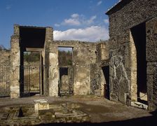 Atrium with impluvium, House of Octavius Quartio or House of Loreius Tiburtinus, Pompeii, 1st cent. Creator: LTL