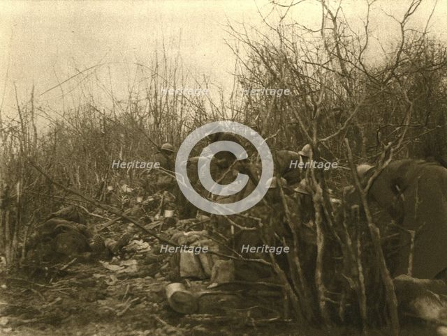 'Au Bois Des Caures; Le matin du 24, les defenseurs du bois jouissent d'une..., 1916 (1924) Creator: Unknown.