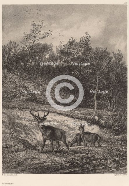 Au bord de l'eau. Creator: Karl Bodmer.