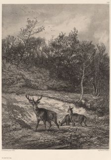 Au bord de l'eau. Creator: Karl Bodmer