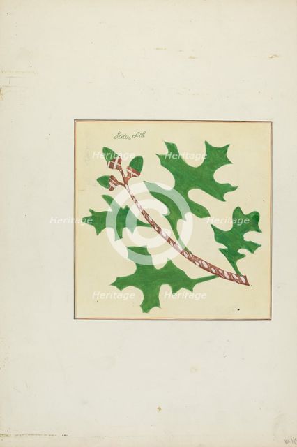 Autograph Quilt, 1935/1942. Creators: Cornelius Christoffels, Margaret Linsley.