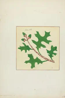 Autograph Quilt, 1935/1942. Creators: Cornelius Christoffels, Margaret Linsley