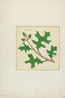 Autograph Quilt, 1935/1942. Creators: Cornelius Christoffels, Margaret Linsley