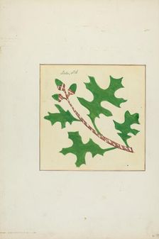 Autograph Quilt, 1935/1942. Creators: Cornelius Christoffels, Margaret Linsley