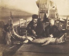 Autopsy of the First Crocodile Onboard, Upper Egypt, 1852. Creator: Ernest Benecke