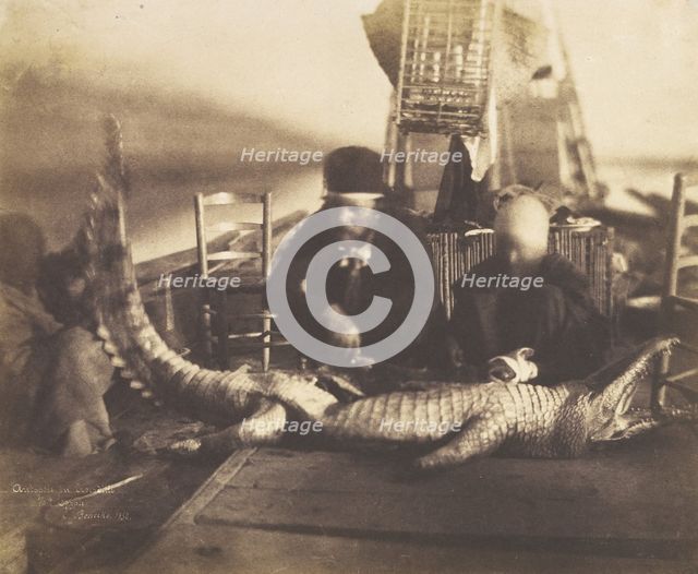 Autopsy of the First Crocodile Onboard, Upper Egypt, 1852. Creator: Ernest Benecke.