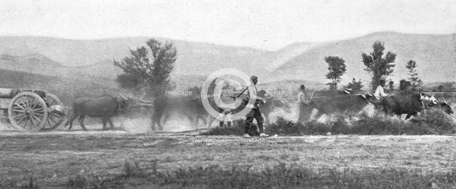 'Autour de la bataille du Kaimaktchalan; le transport de l'artillerie lourde sur le front de Macedoi Creator: Vladimir Betzitch.