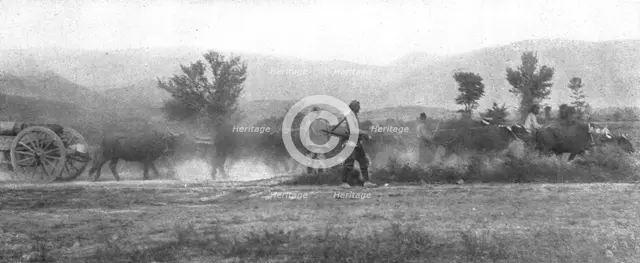 'Autour de la bataille ; Un gros canon francais tire par un attelage de dix buffles', 1916. Creator: Unknown.