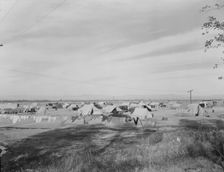 Auto camp north of Calipatria, California, 1937. Creator: Dorothea Lange
