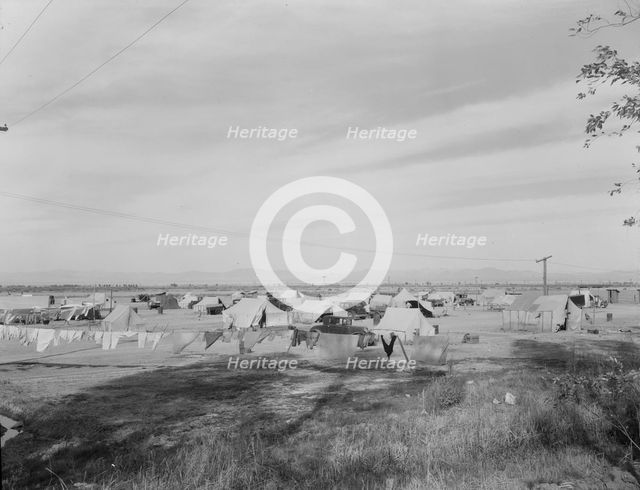 Auto camp north of Calipatria, California, 1937. Creator: Dorothea Lange.