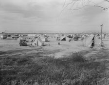Auto camp north of Calipatria, California, 1937. Creator: Dorothea Lange
