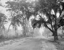 Auto course, Savannah, Ga., between 1900 and 1920. Creator: Unknown