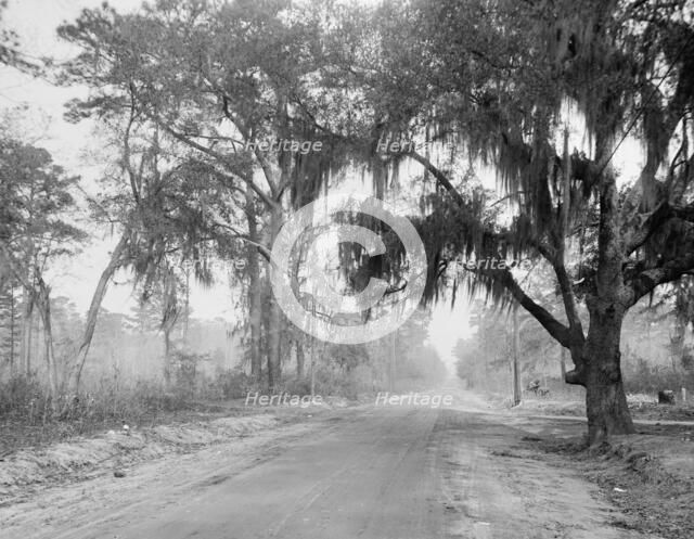 Auto course, Savannah, Ga., between 1900 and 1920. Creator: Unknown.