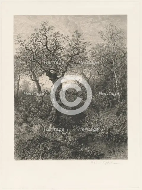 Autumn, 1871. Creator: Eduard Willmann.