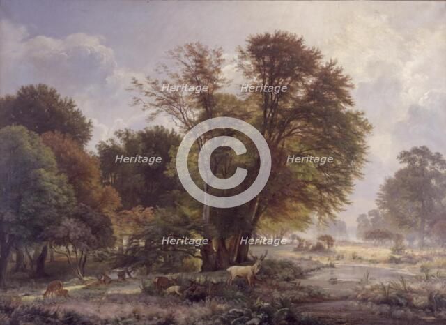 Autumn morning in the Jægersborg deer park, 1866. Creator: Carl Frederik Aagaard.