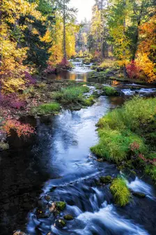 Autumn Colors. Creator: Joshua Johnston