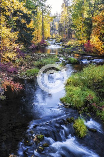 Autumn Colors. Creator: Joshua Johnston.