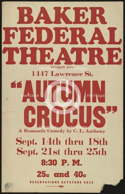 Autumn Crocus, Denver, [1930s]. Creator: Unknown.