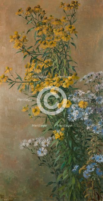 Autumn Flowers, Helenium and New York Aster, 1910. Creator: Gunnar Wennerberg.