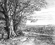 Autumn from Bramble Hill: from "Autumnal Leaves" (Sketches in the New Forest), 1881. Creator: James Davis Cooper