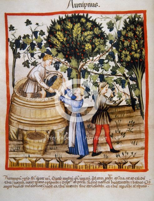 Autumn: Grape harvest and winemaking, 14th century.  Creator: Unknown.