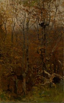 Autumn Hardwood Forest, 1878-1882. Creator: Ladislav Mednyanszky