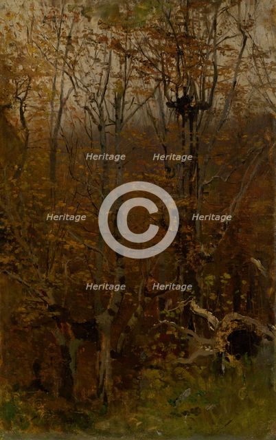 Autumn Hardwood Forest, 1878-1882. Creator: Ladislav Mednyanszky.