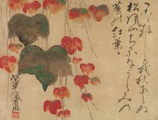 Autumn Ivy, after 1732. Creator: Ogata Kenzan